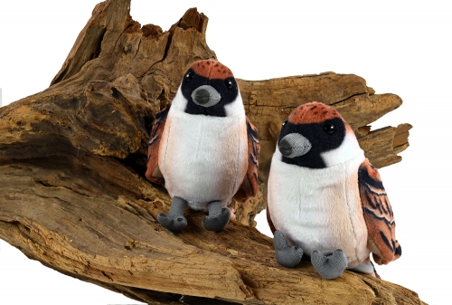 Preview: Spatz ca.9 cm